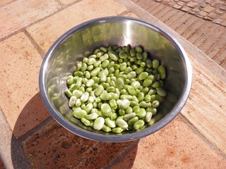 Pasta al pesto di Edamame